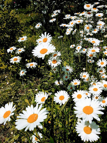 природа планеты