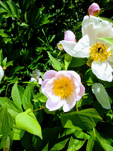 природа планеты