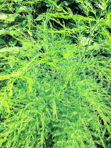 природа планеты